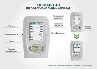 СКЭНАР-1-НТ (исполнение 01)  в Шадринске купить Скэнар официальный сайт - denasvertebra.ru 
