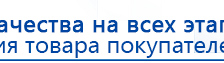 Пояс электрод купить в Шадринске, Электроды Меркурий купить в Шадринске, Скэнар официальный сайт - denasvertebra.ru